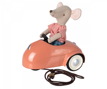 storebror mus som passer perfekt i den lille bil