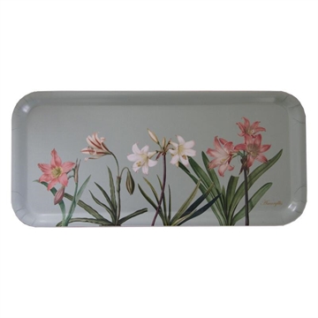 Bakke 32x15cm i lysegrøn med blomstrende amaryllis